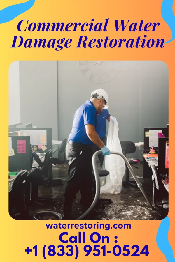 Commercial Water Damage Restoration in Mercer, ND